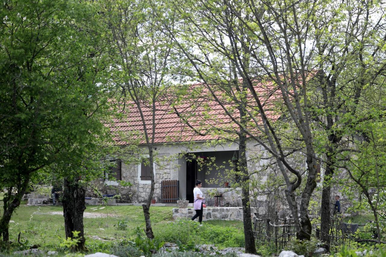 Lake House 'Vilin Konak' Niksic Exterior photo